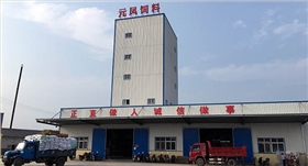 公司場景 公司場景