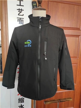 思科賽德電子 思科賽德電子