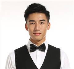 男士職業裝領結