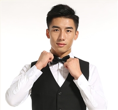 男士職業裝領結