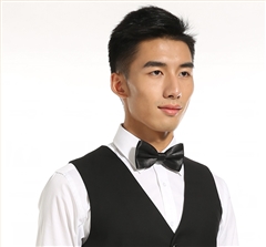 男士職業裝領結