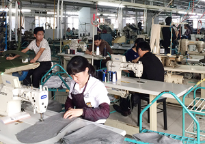 圣巧依生產車間（十二）