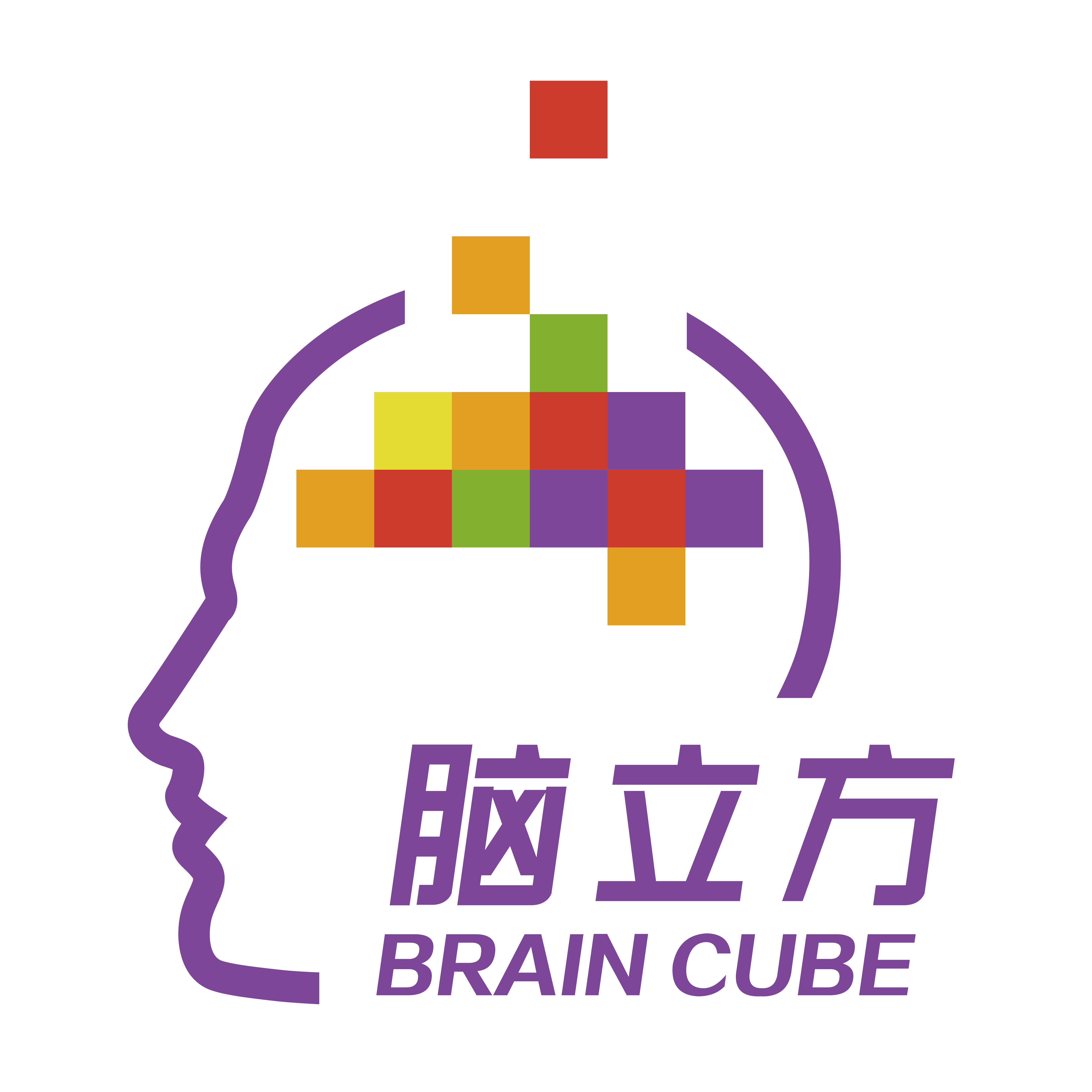 Polo衫定制案例-腦立方 Polo衫定制案例-腦立方