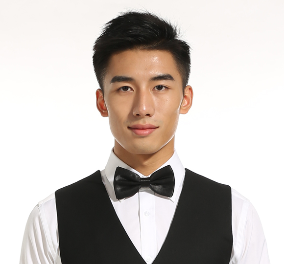 男士職業裝領結 男士職業裝領結