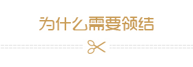為什么需要領結 為什么需要領結