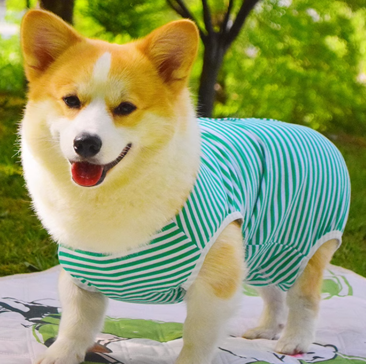 寵物服裝加工定制廠家寵物服裝設計和生產定做工廠圣巧依 寵物服裝加工定制廠家寵物服裝設計和生產定做工廠圣巧依